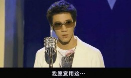 吃瓜网红王力宏是谁啊,从歌手到网络红人的跨界之旅