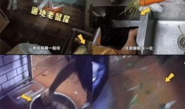 杨国福爆料视频,网红火锅背后的真实故事